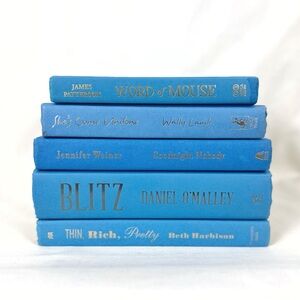 Books By Color Bundle Of Five Book Stack Blue Hardcover Home Decor Fiction
